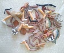 Gambe mani ricambi pesci