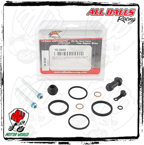 Kit revisione pinza freno - pinza,