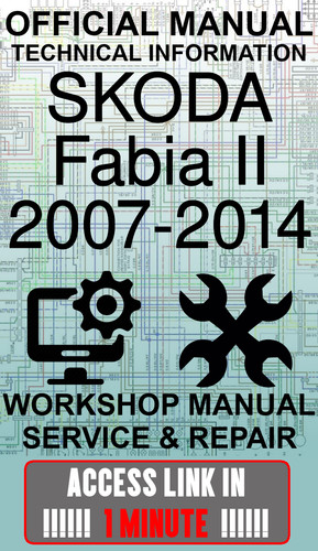 Access link manuale officina - manuale,