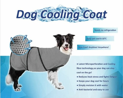 Cappotto rinfrescante cane - cane,