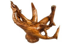 Grande Scultura Radice Teak