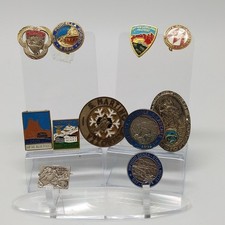 Lotto di 10 spille e 1 placca