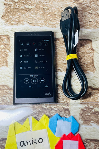 Walkman sony a55 grigio - sony,
