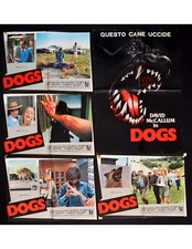 fotobuste DOGS cane dobermann pitbull rotweiller bulldog david mac callum F254