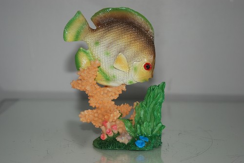 Acquario pesce con - acquario,