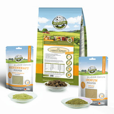 Cibo secco insetti 5kg - cibo,