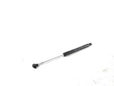 654703934R PISTONCINO ASTA