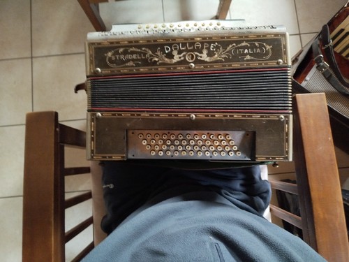 Fisarmonica visionare ma - fisarmonica,