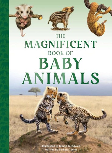 The magnificent book - the,