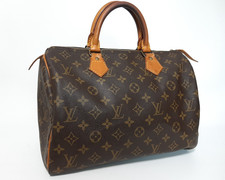 Louis Vuitton Monogram Speedy