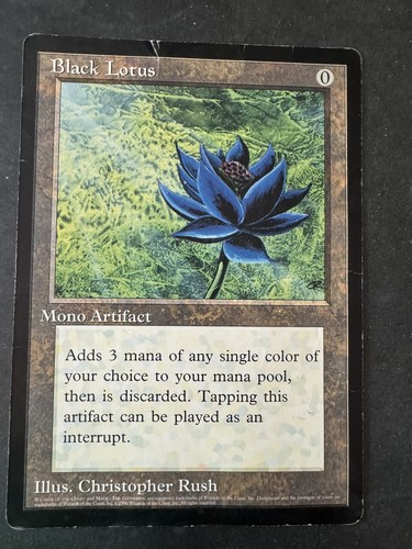 Magic the gathering - the,