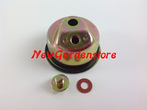 Vaschetta motore carburatore