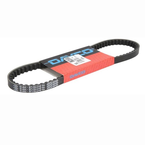 Cinghia trasmissione dayco - cinghia,