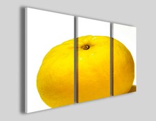 Quadri frutta Lemon still life