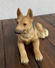 Cane pastore Tedesco animali