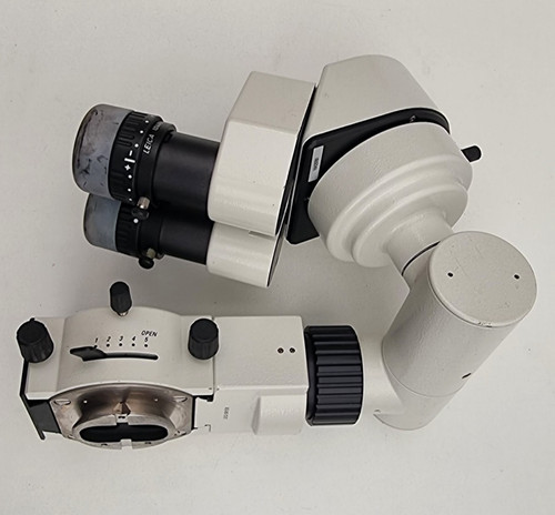 Leica osservatore - leica, co-osservatore