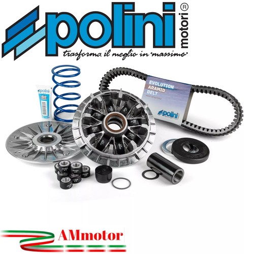 Variatore polini max 530 - variatore,