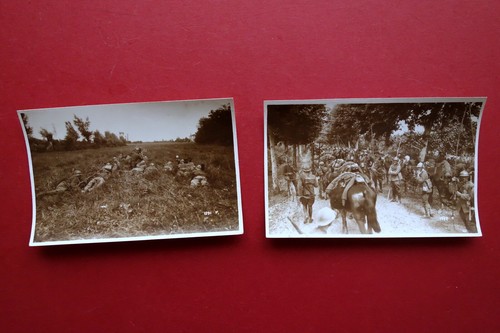 Fotocartoline sezione - 2,