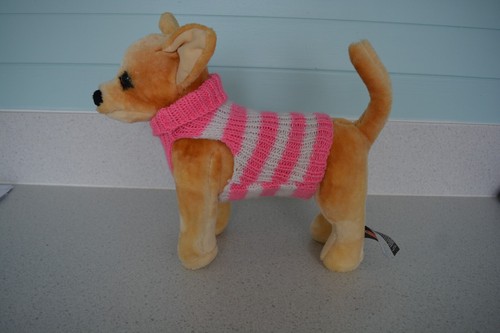 Piccolo maglione cane - cane, 8