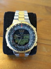Citizen Wingman C080