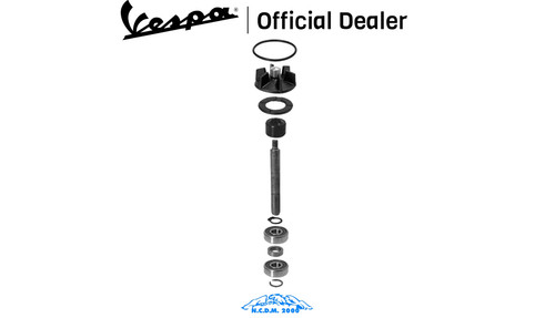 100110020 kit revisione pompa - revisione,