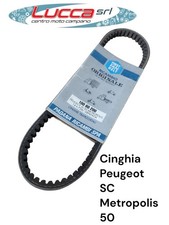 10060200 Cinghia Trasmissione