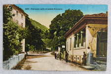 cartolina verbania bee animata pianezza premeno viaggiata '900 formato piccolo