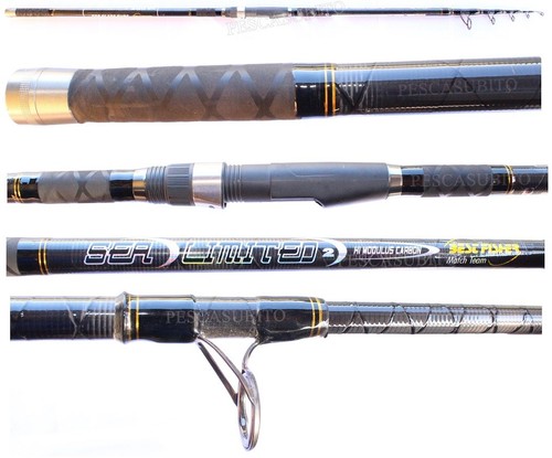 Canna pesca surfcasting - canna,