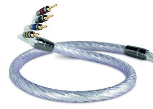 Qed signature genesis silver - signature,