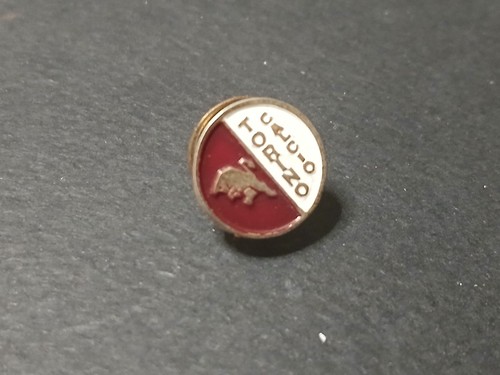 Torino pin spilla distintivo - spilla,