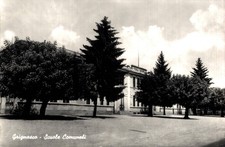 Novara Grignasco Scuole