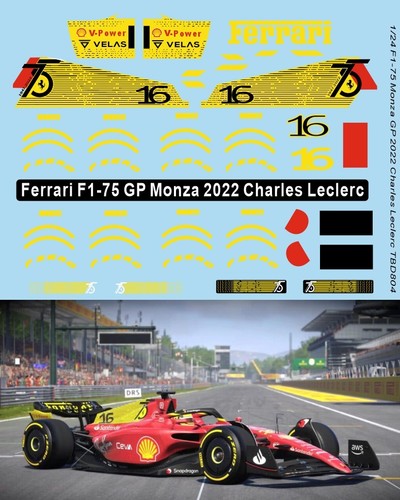 Decals per ferrari - 1/24,