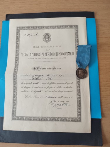 Medaglia merito lungo - merito,