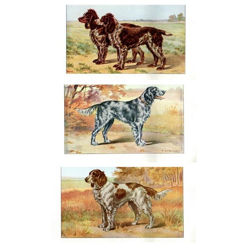 Lotto antiche stampe - lotto, n.