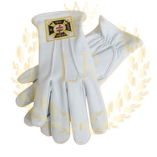 Coppia Guanti Massonici