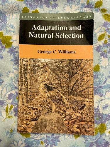 George williams adaptation - george,