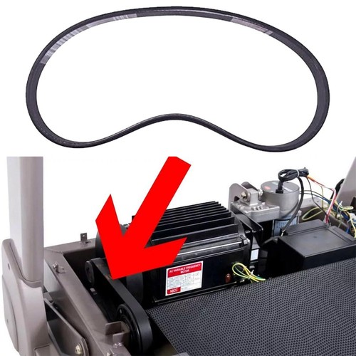 Ceinture polyester epdm - epdm, 17