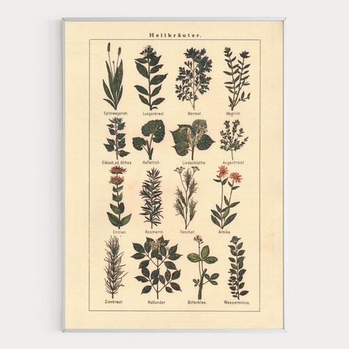 Poster vintage tedesco
