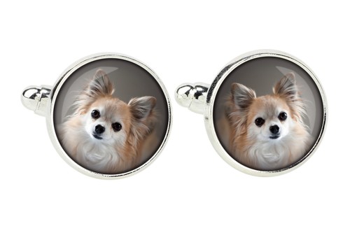 Chihuahua pelo lungo spilla - chihuahua, a