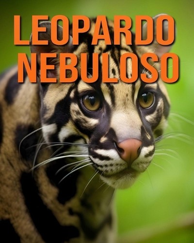 Leopardo nebuloso guida - leopardo, la