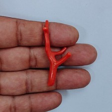 Autentico ramo di corallo