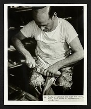 Foto stampa vintage anni 60