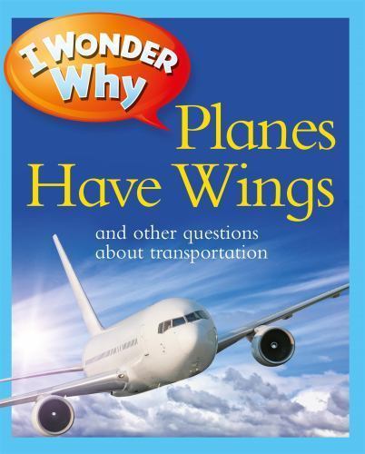Wonder why planes - have, wings
