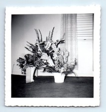 Vecchia foto quadrata vintage
