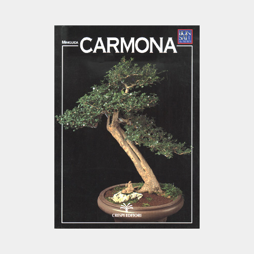 Manuale bonsai guida - bonsai,