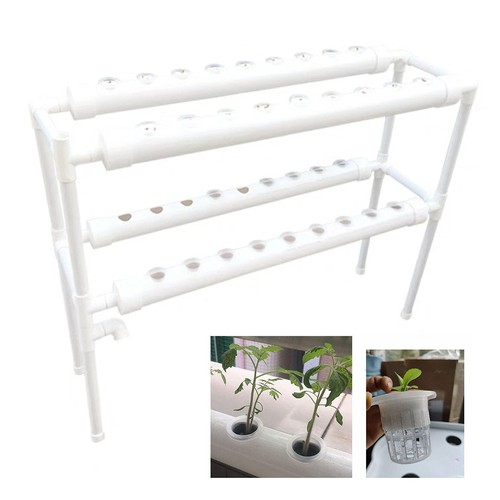 Piante hydroponic grow - 36,