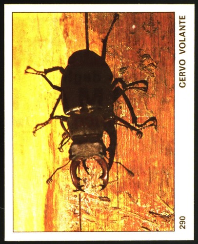 Mondo degli animali - mondo,