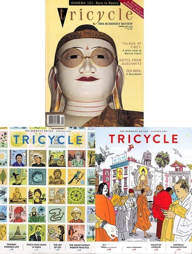 Tricycle the buddhist - tricycle, review
