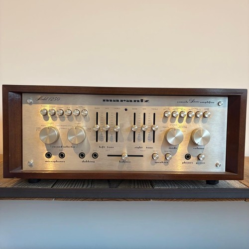 Amplificatore integrato