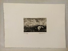 RENZO VESPIGNANI ACQUAFORTE TIRATURA LIMITATA PROVA FIRMATA E NUMERATA